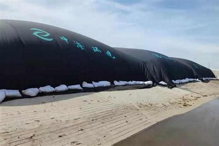 大豆最好的肥料是什么？