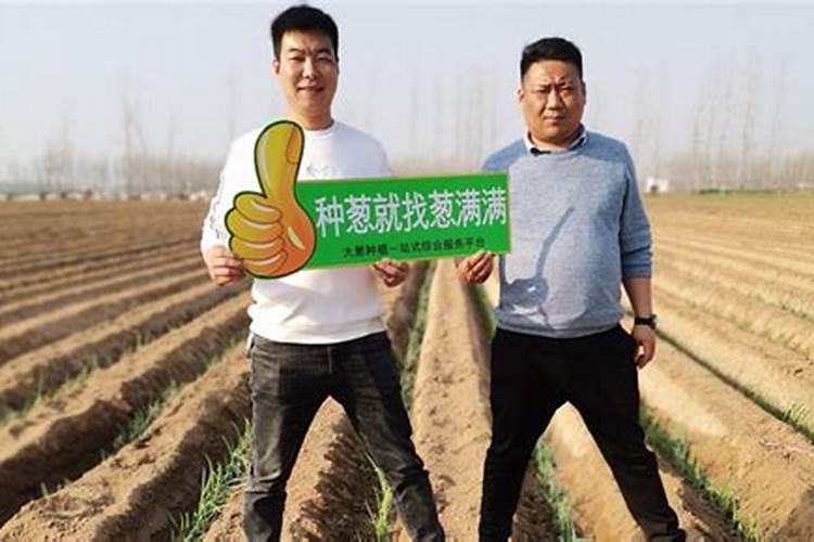 现在大葱追什么肥能促使葱白长的好