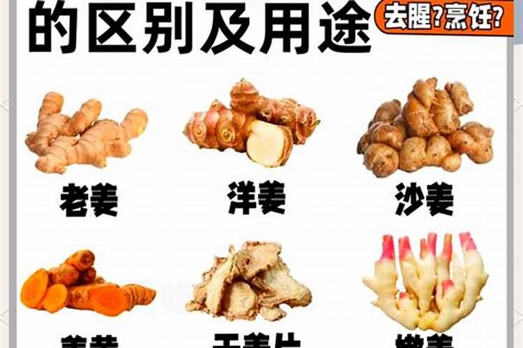 乌饭子树不好种植？按这3点来做,种植的乌饭树好看又好吃