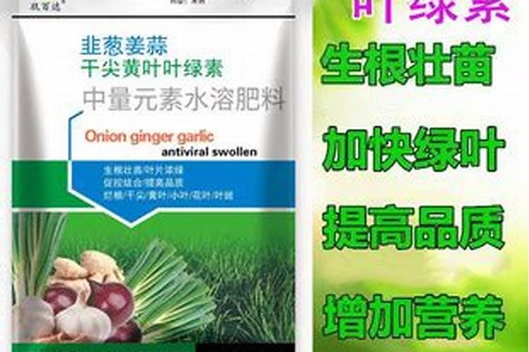 葱苗施什么肥最好