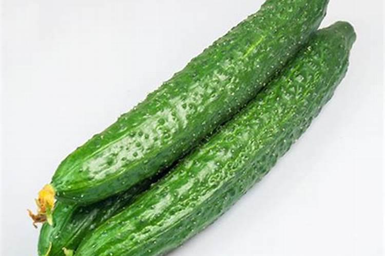 三亚南丁水库都有哪些鱼