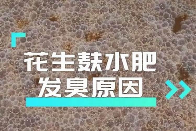 苏泊尔挂烫机那个除钙旋钮掉了怎么办