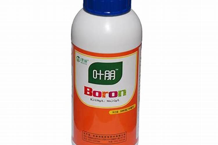 石榴树落花落果的原因