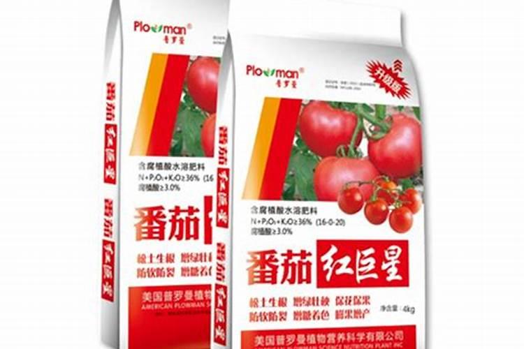 海棠花施什么肥最好