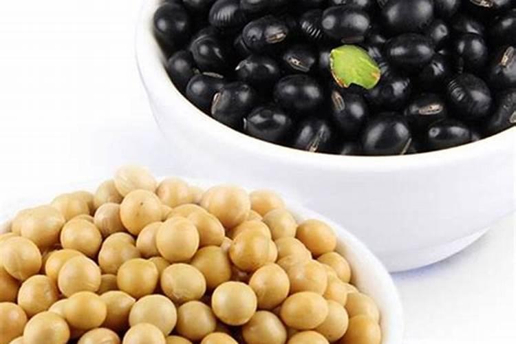 黄豆做肥料力量大还是黑豆做肥料力量大？