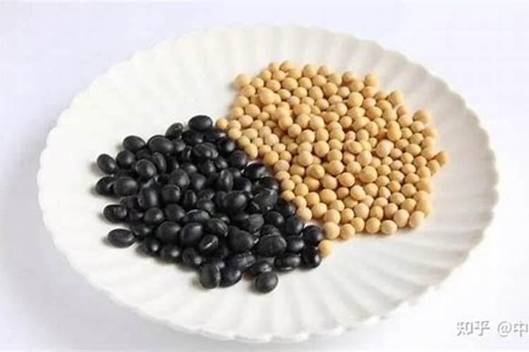 黄豆做肥料力量大还是黑豆做肥料力量大