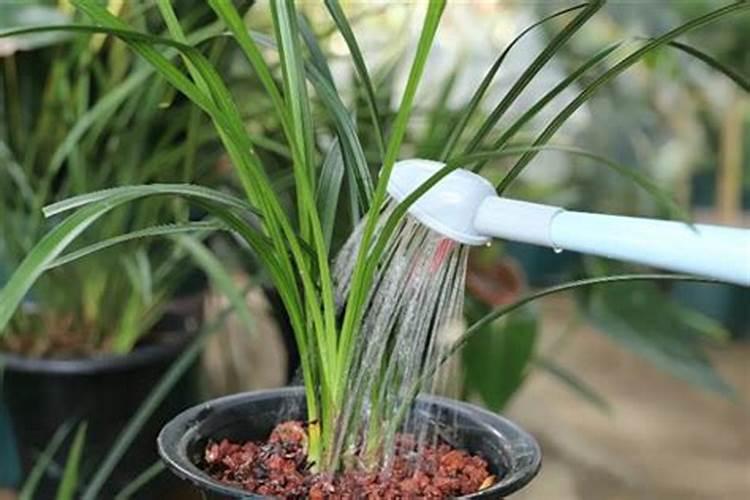 星巴克什么好吃