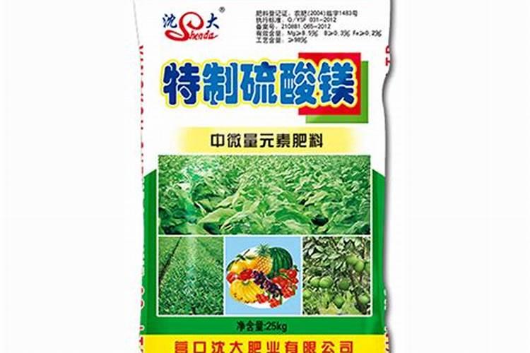 君子兰怎样施肥