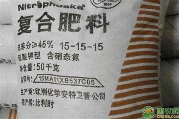 小麦底肥施啥复合肥好