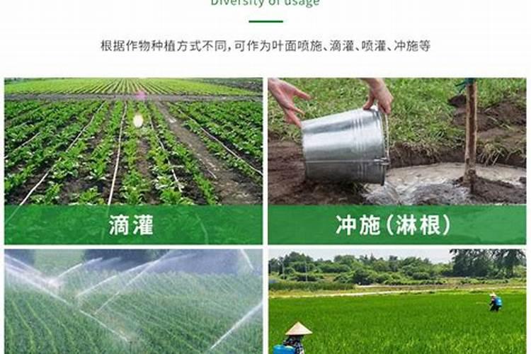 施可丰生产的颗粒硼有≥10%的吗？