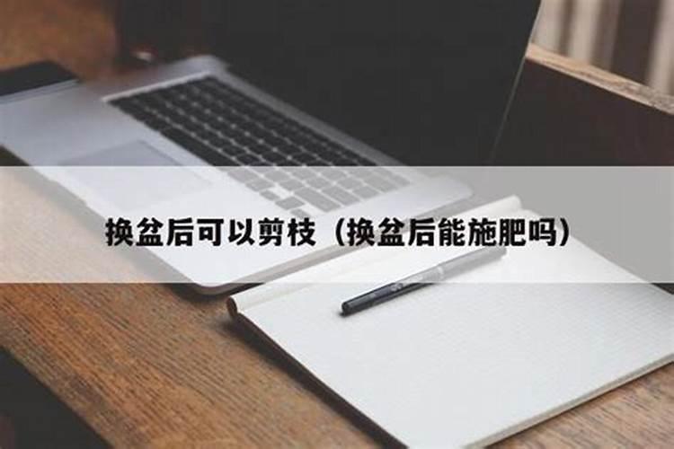 种花生磷肥还是钾肥好
