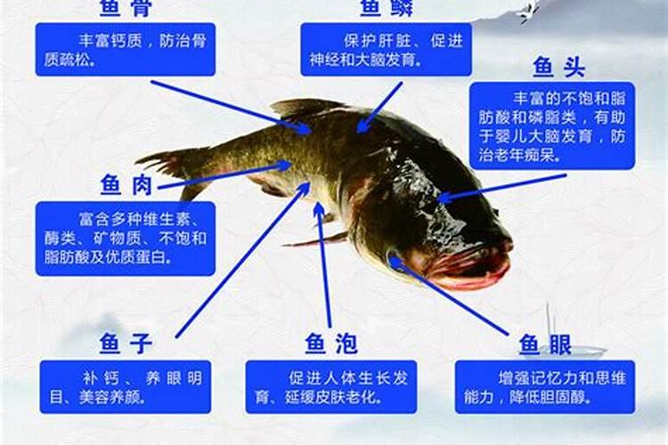 浇花如何控制水量的技巧