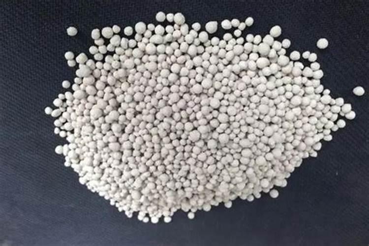 柑橘夏梢骑马枝是不是必须剪掉？