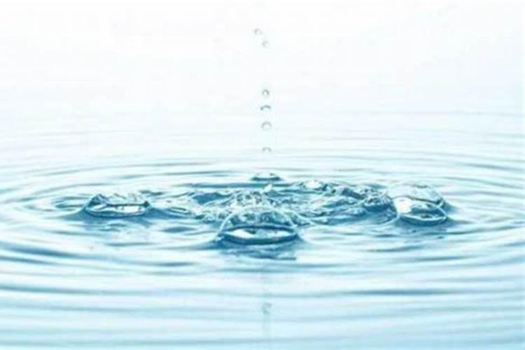 赵娅西【人物简介】