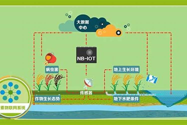 海水稻能在海边滩涂等盐碱地生长不需要施肥的原因