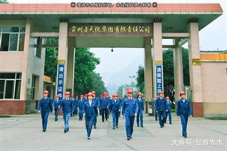 种马铃薯用什么肥料最好