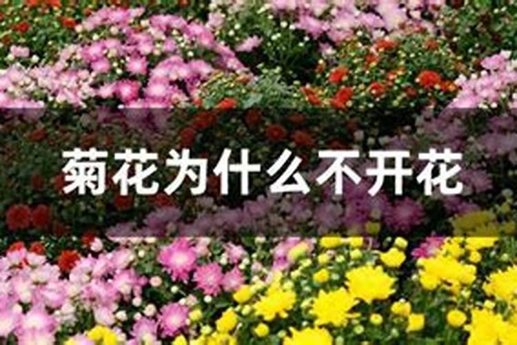 第二十一届金钥匙科技竞赛的试题,不要答案