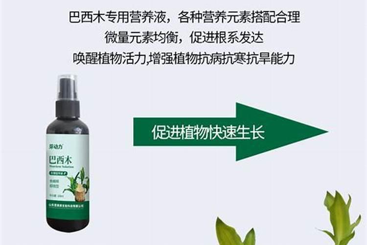 小麦打除草剂发黄叶子发干怎么办