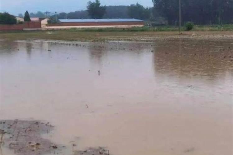 麦收后,如何整地才更有利于大豆的生长？