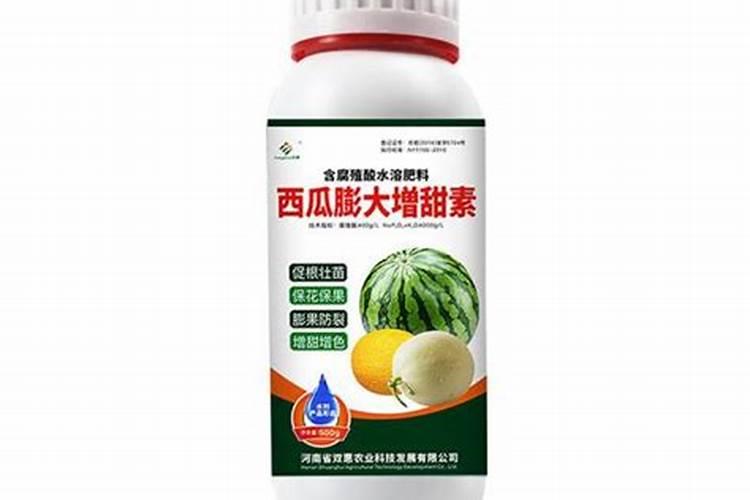 三月阳光玫瑰葡萄苗促进早期发芽!(四)