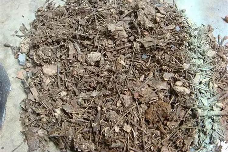 蝶豆花粉煲汤一次放多少克合适呢