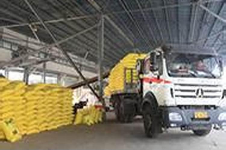 西瓜控旺药有哪几种药 如何使用效果好