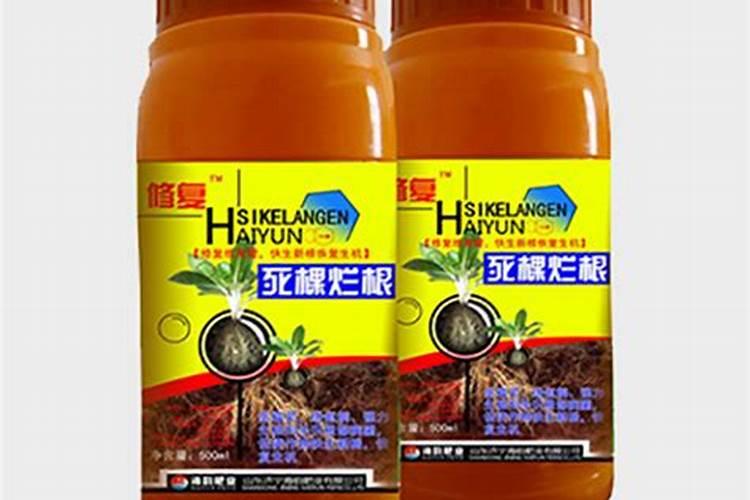 叶面施肥与根部施肥,哪个更好？哪种情况需使用叶面肥？