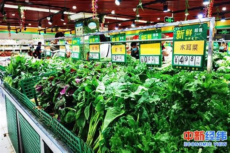 种蔬菜用什么肥料