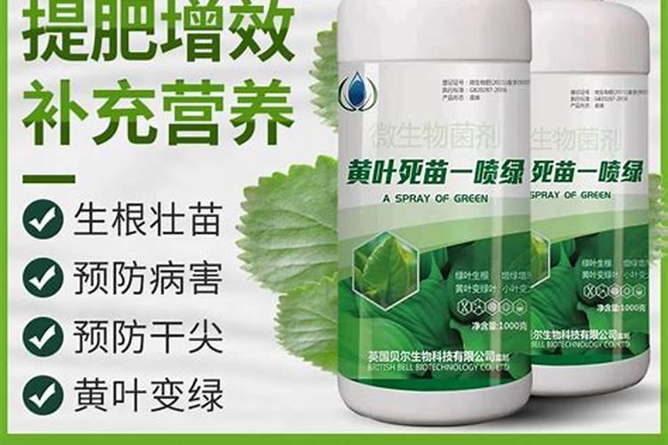 氨基酸水溶肥与那个芸苔素能打白菜吗？