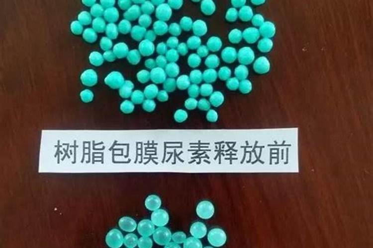 长效氮肥主要有哪几种