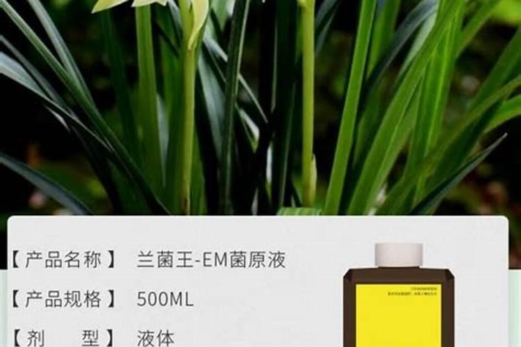 大量元素水溶肥中的TE是什么意思