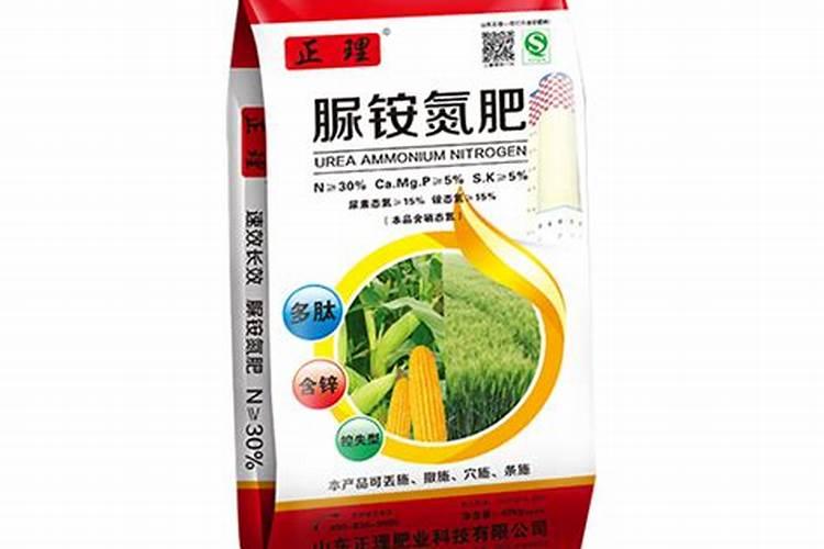 黄花菜种植技术及病害防治