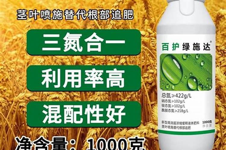 种大葱用什么肥料好