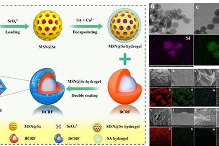 什么是功能肥料？