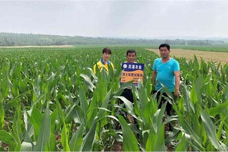 锌肥每亩玉米施肥多少