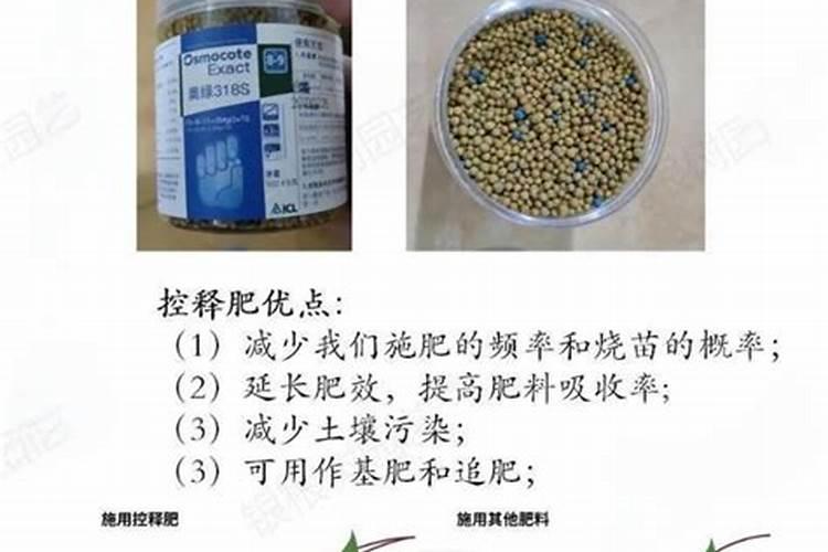 一片灰烬是成语吗