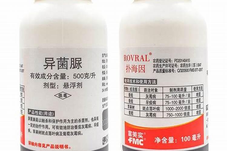 板栗树的正确实肥方法