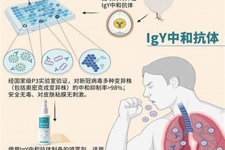 桑树白果病的对口农药