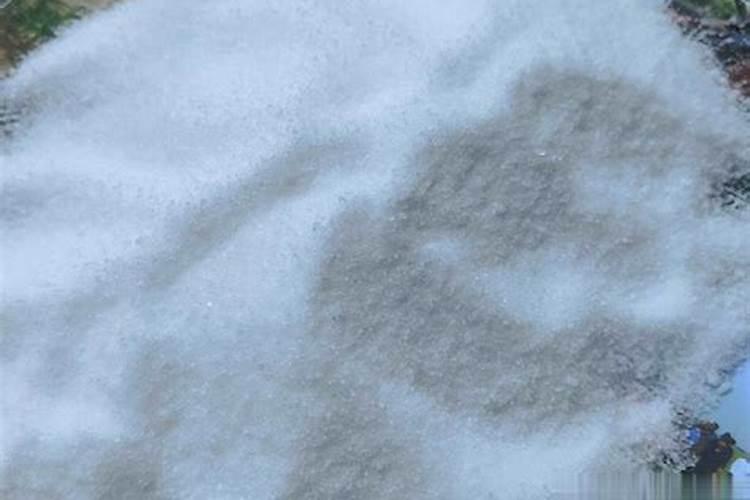 怎么让绿萝长得旺还不发黄？