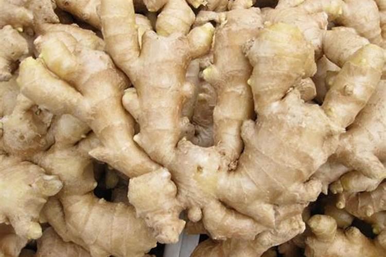 种植大姜怎么施肥好