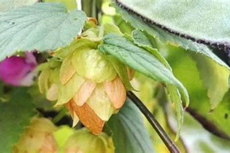 硝酸银试剂 级别多样 含量≥99.5% CAS#7761888