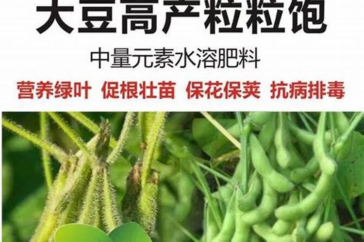 黄豆花期喷施叶面肥加多少尿素合适
