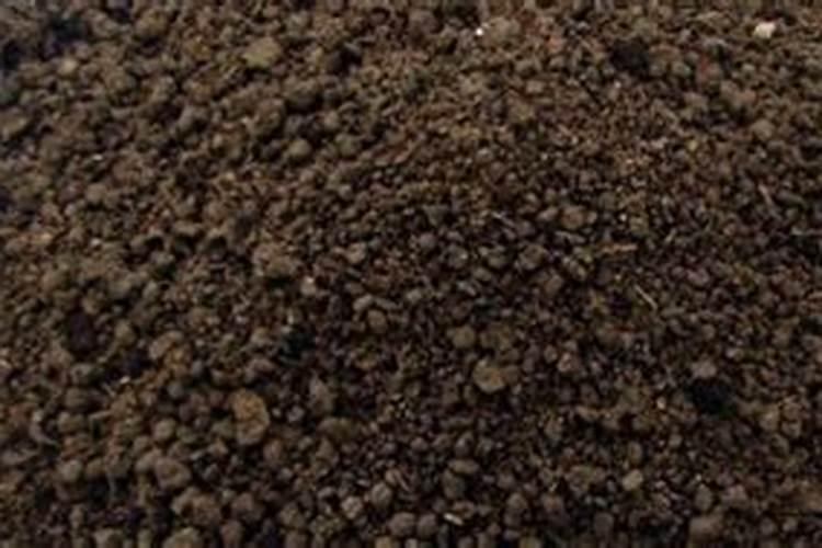 人体如何补充酶