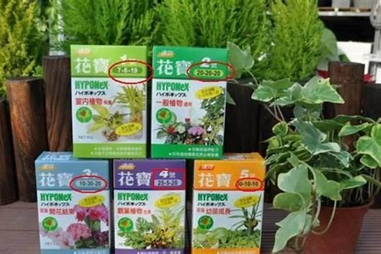 氨基酸叶面肥市场上反馈不错的有哪些