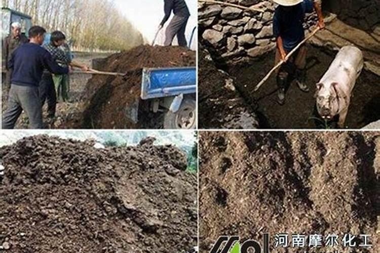 硼肥有哪些作用 硼肥的9大施用误区
