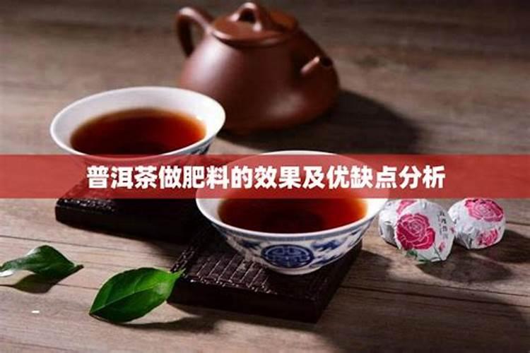 普洱茶渣可以做肥料吗