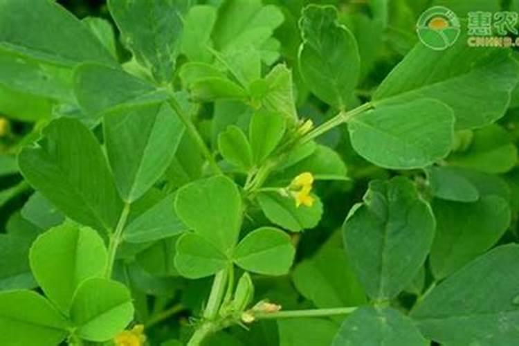 用手天天接触生产水溶性的肥料,长期下去对身体有害吗。含氮 磷钾 硫...