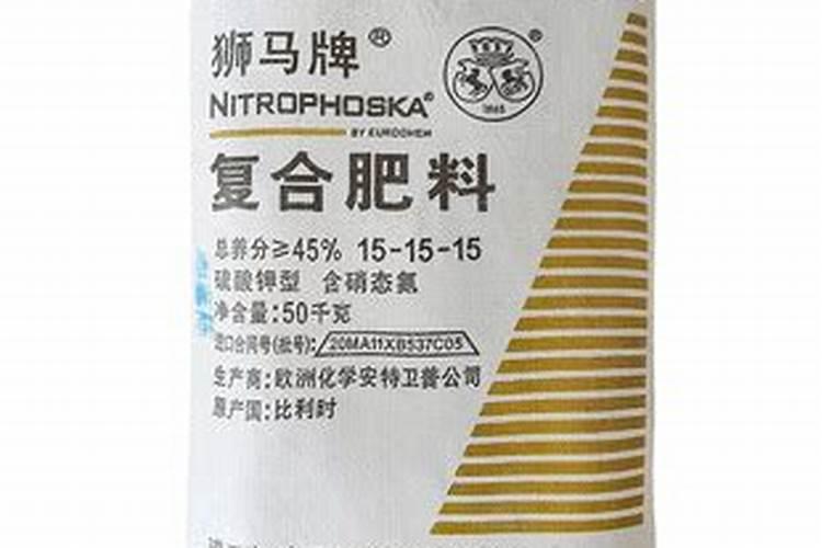 甘蔗去哪里批发便宜