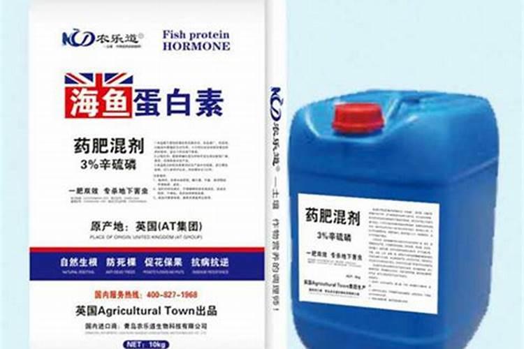 春芽树的种植方法