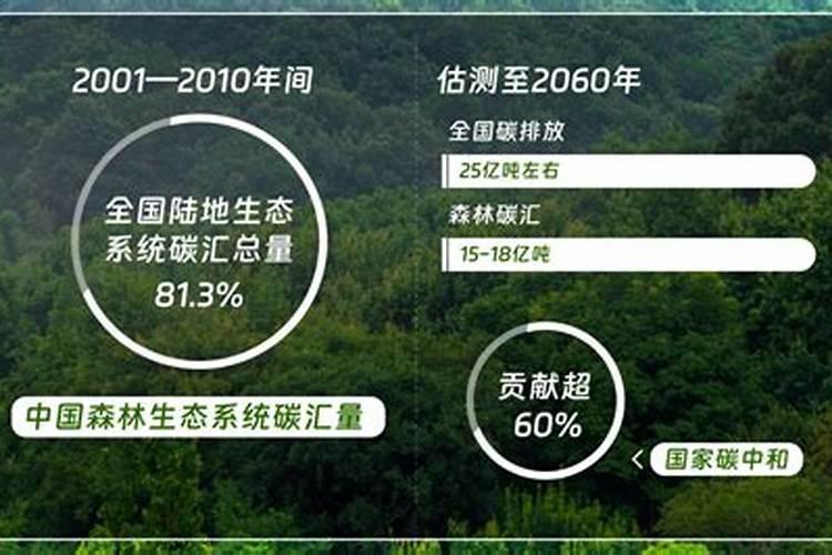 腐植酸、氨基酸、海藻素和鱼蛋白
